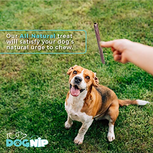 Dog Nip! 6" Taffy Sticks - Gullet Sticks -Esophagus Sticks (1 Pound) (Approx. 35-45 Pieces) Naturally Rich In Glucosamine And Chondroitin - Joint Health - Grass Fed Beef #TOP5
