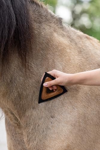 Brosse triangulaire pour chevaux au pansage quotidien après le paddock - 3