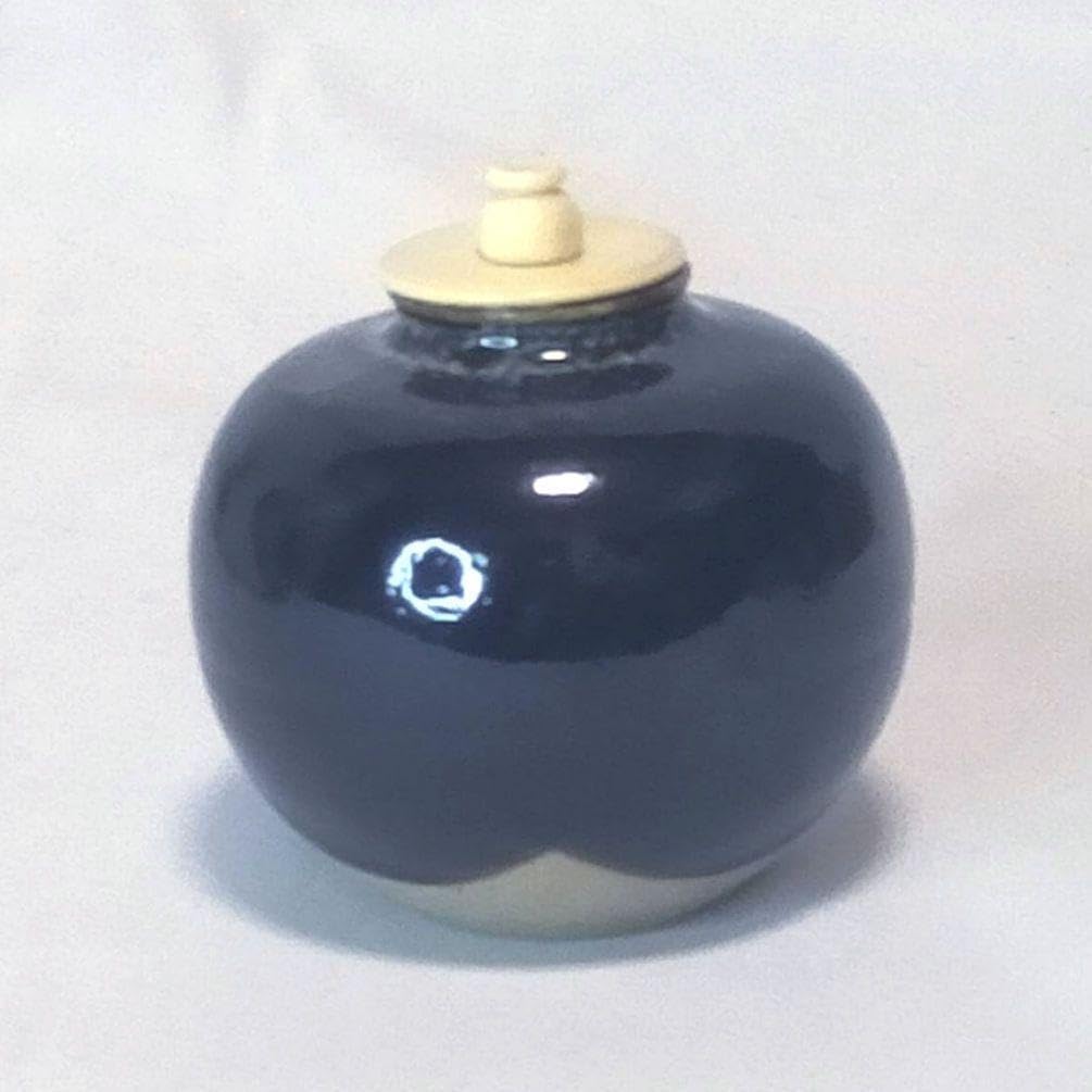 内海茶入 桶谷定一 茶道具 仕覆 蓋 共箱 大海茶入 中海 茶入 蓋