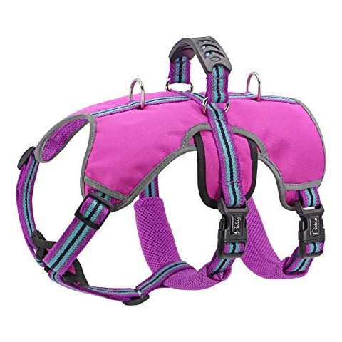 Didog Escape Proof Dogs Harness,Soft Breathable Padded & Reflective,Adjustable No Pull Dog Harness with Lift Handle & Double Leash Clips for Medium Large Dogs Walking Hiking Training,Purple,M Cover