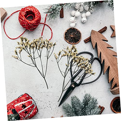 Set Natural de Flores Secas para Manualidades DIY miniatura 4
