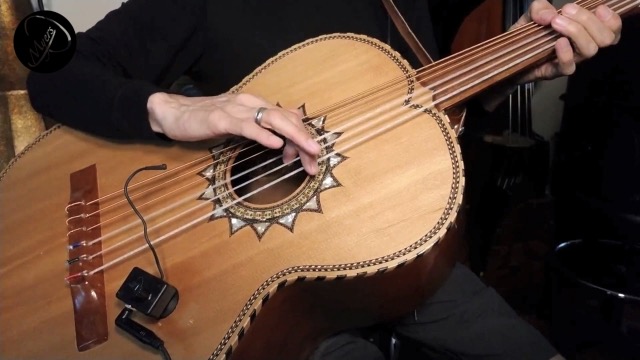 Amazon.co.jp: ACOUSTIC BASS GUITAR PICKUP マイヤーズピックアップ  