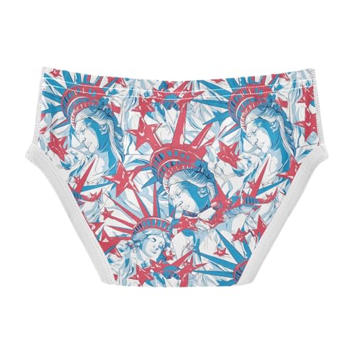 visesunny Boys Cotton Underwear Statue Of Liberty Crown Printed Toddler Soft Training Briefs Size 2T-8Y for Kids2