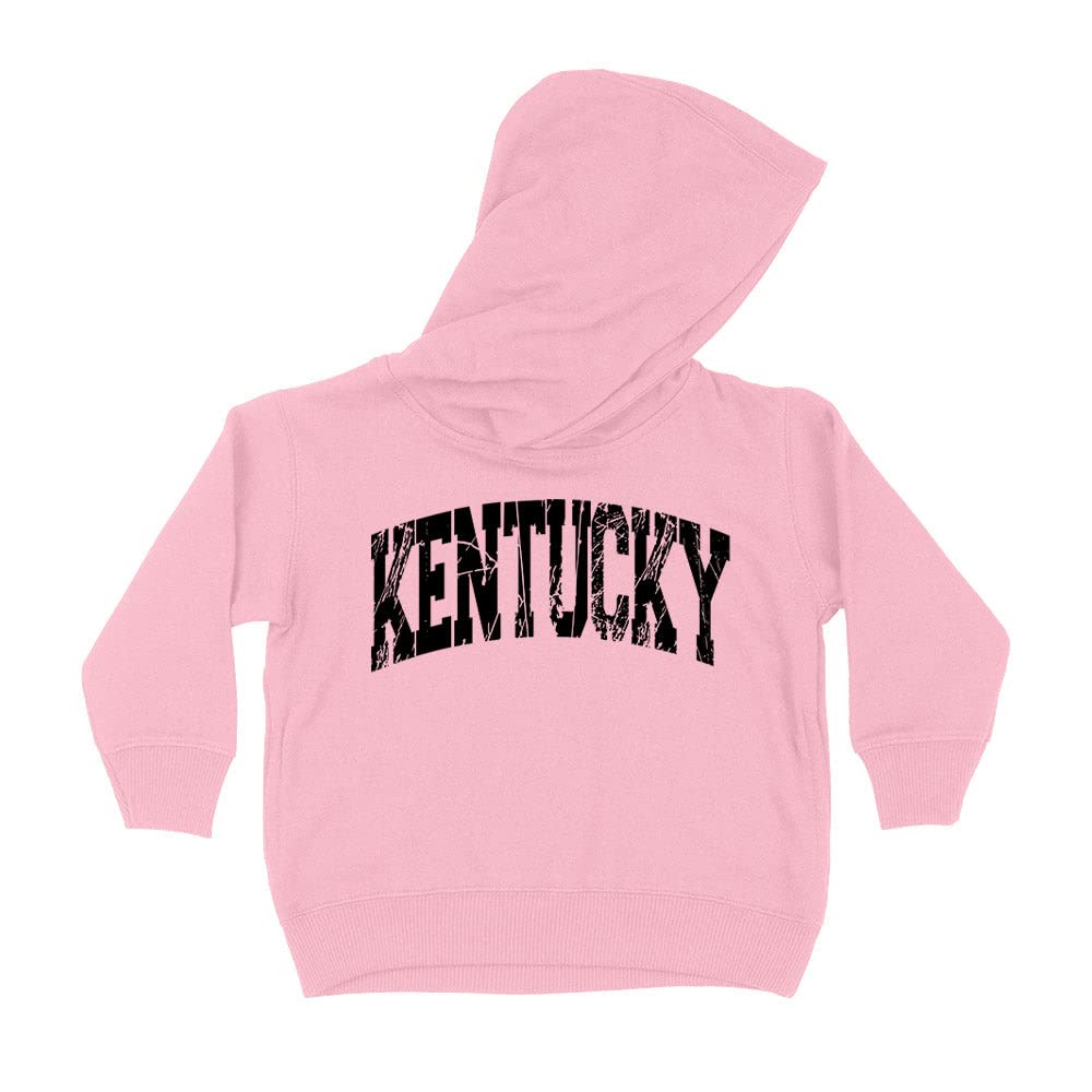 Distressed Kentucky Collegiate Kids Hoodie Sweatshirt Toddler 4T Light Pink
