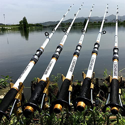 Catch Artifact 2.1m -3.6m Carpe da Pesca for Canna...