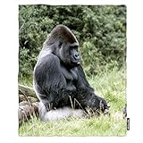 Moslion Soft Cozy Throw Blanket Gorilla Africa Grass Fuzzy Warm Couch/Bed Blanket for Adult/Youth Polyester 40 X 50 Inches(Home/Travel/Camping Applicable)