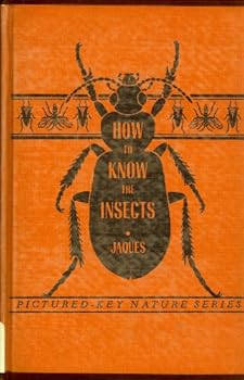 How to know the insects