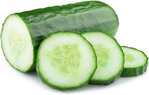 Semillas de pepino 50 semillas Cultiva tu propia comida Semillas de vegetales para plantar Fabricado en Estados Unidos