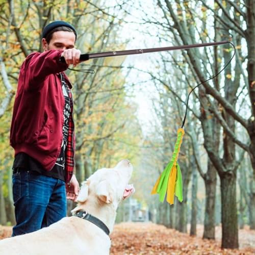 Lainiaoly Reizangel Hunde Große Hunde, Interaktives Hundeseilspielzeug, Für Unterhaltung, Spielen Und Training