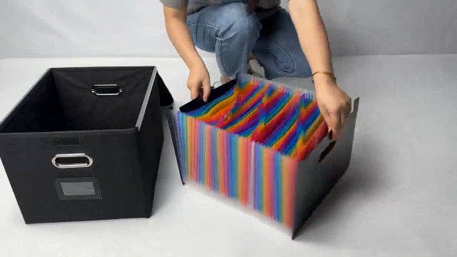 Amazon.com: Fuonsyn File Organizer Box with 25-Pocket Accordion