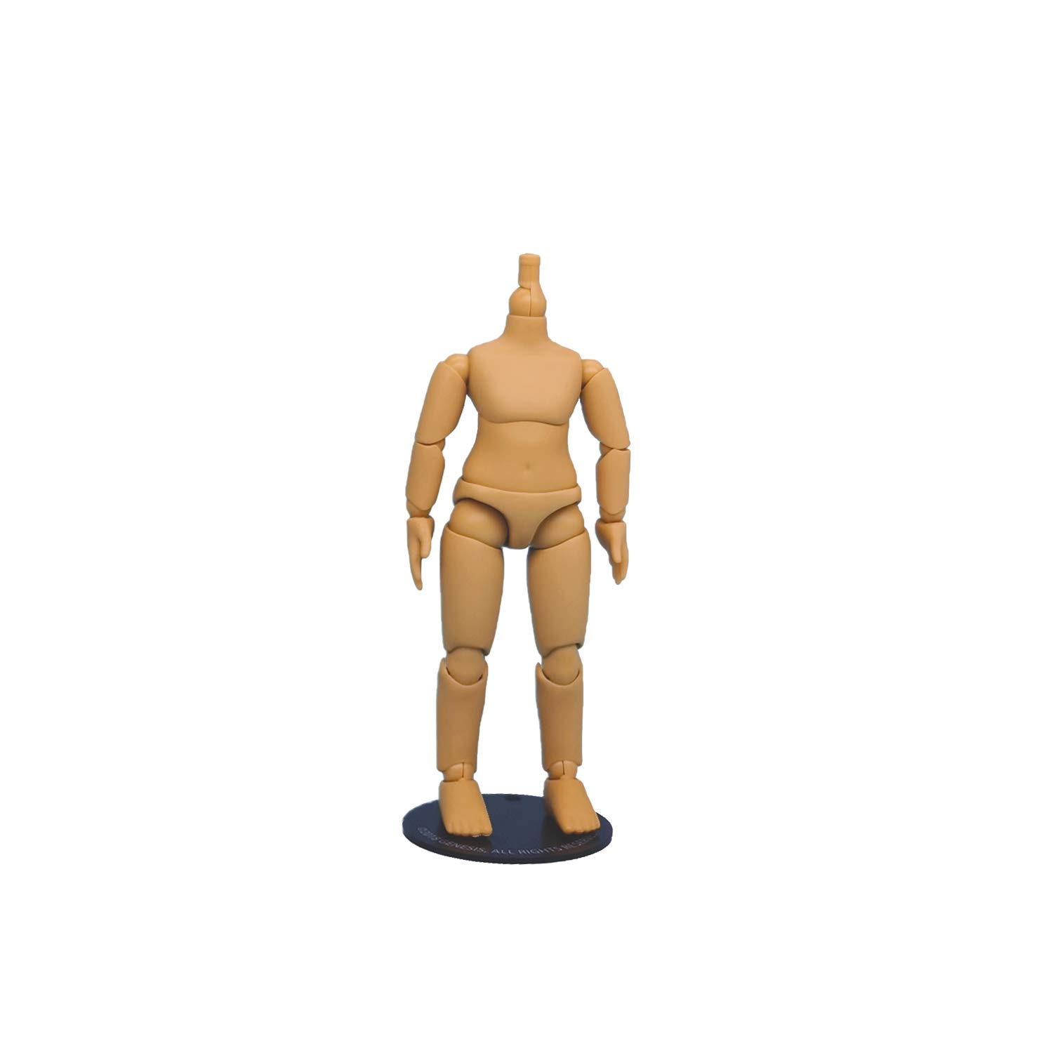 Amazon | PICCODOシリーズ BODY10 デフォルメドールボディ PIC D002T