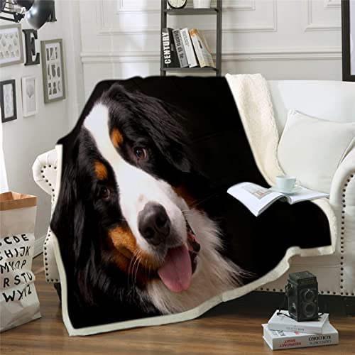 Couvertures Bouvier Bernois Suisse Flanelle Couverture Polaire 3D Animal Chien pour Adultes Enfants Rester Chaud en Hiver Couverture en Peluche Canapé-lit Bureau 130x150cm Cover