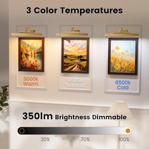 Image of 4 Pack Art Light Set, 12 inch Wireless Battery Picture Lighting, Remote Control Timer 3 Color Temps for Bedroom,Hallway, Museum (Antique Gold)