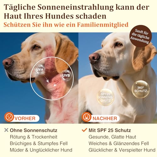 Hunde Sonnenschutz-Spray SPF 25 – Leichtes, Öl-basiertes UV-Schutzspray für empfindliche Haut | Beruhigende & Feuchtigkeitsspendende Formel mit Aloe, Ringelblume und Hafer | 80 ml​