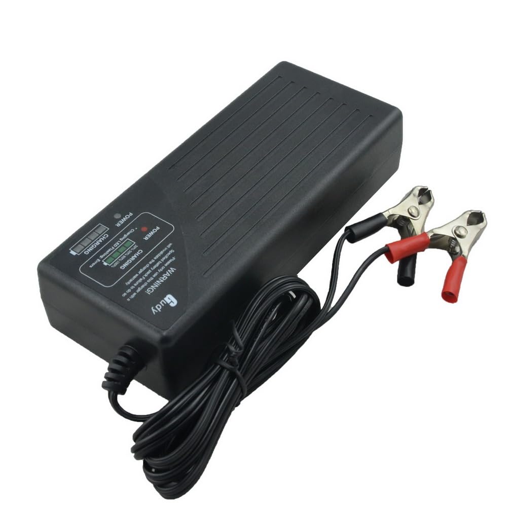 Chargeur de Batterie NiMh NiCd 24V 2.8A 20S avec Fonction NTC (Alligator Clips Without NTC)