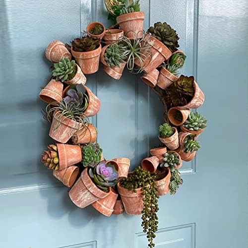 T4U 5CM Terracotta Plant Pots 20-Pack, Mini Clay Pot with Drainage for Tiny Plant Cactus Lithop, Small Red Succulent Plant Pot Nursery Planter for DIY Hand Craft Decoration Garden Gift