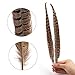 Outuxed 15pcs Pheasant Feathers 12-14 Inches (30-35cm) Natural Pheasant Tail Feathers for DIY Craft Wedding Home Party Decorations