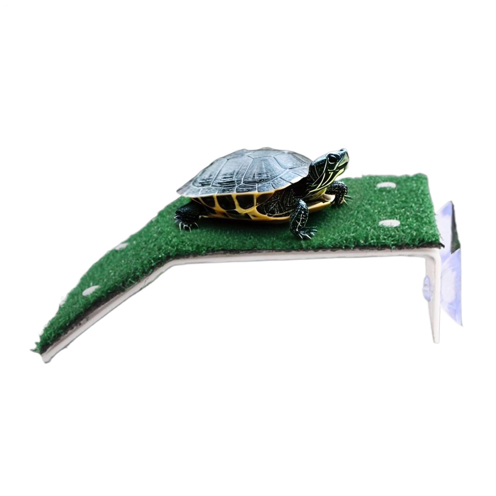 Plataforma para Tomar El Sol para Tortugas: Diseño Seguro Y Cómodo, Área para Tomar El Sol En ElTanque DeTortugas | Simulación De Animales De Hierba, Tierra De Descanso para Cangrejos, Tortugas,