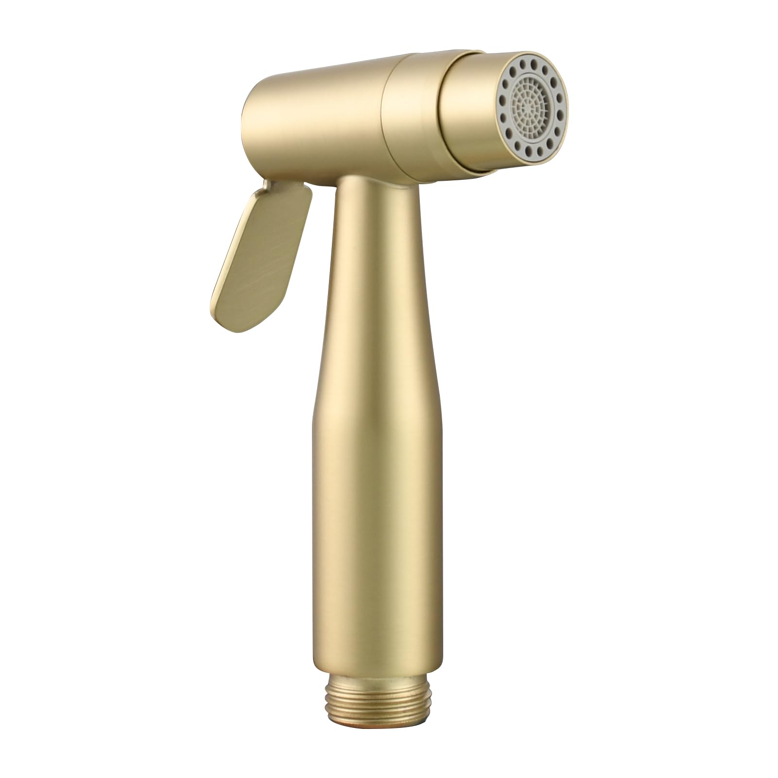 洋書 Golden shower girl 2 H2Okinetic® In2ition® 5-Setting Two-in-One Shower in Champagne