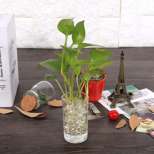 Bolas de Gel, 3000 Peças Bolas de Gel de Base de Cristal, Planta de Água, Flor, Base de Cristal, Con