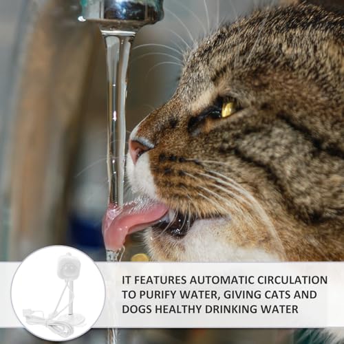 Sensor de fuente de agua para mascotas ideal para gatos en casa 6