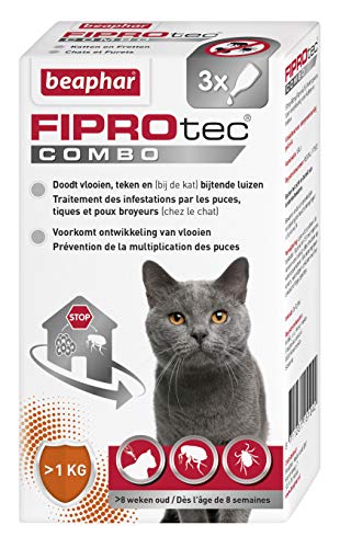 Anti Puces Chat Anti Tiques Decouvrez Les Meilleurs Anti Parasites
