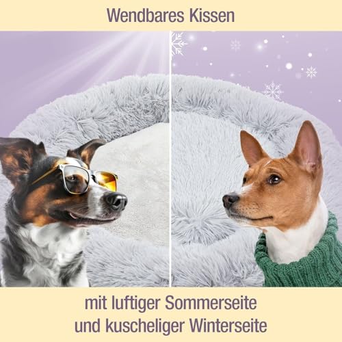 pfoten&nasen® Wolke 7 Hundebett S [Beige, 65 cm] – Flauschiges Donut-Kissen für kleine Hunde & Katzen – Waschbar mit abnehmbarem Bezug