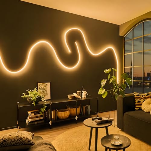 Image of Neon Rope Lights, Dimmable LED Strip Light, Warm White, 16.4ft