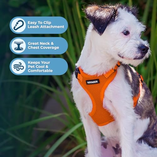 Image of Best Pet Supplies Voyager Step-in Lock Pet Harness w Reflective Pet Leash Combo Set with Neoprene Handle 5ft - Supports Small, Medium and Large Breed Puppies /Cats - Orange Set, XL
