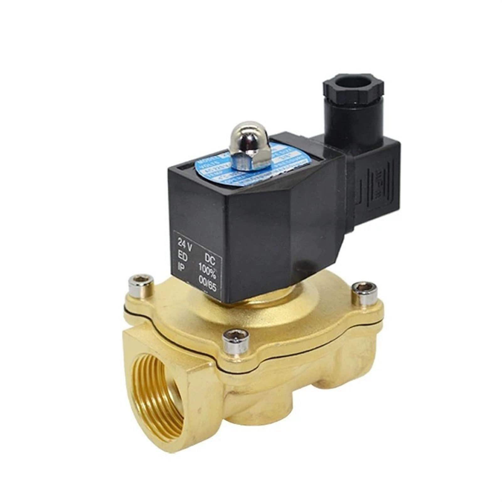 Électrovanne 1/2 NPT 12VDC IP65 pour l'automatisation de l'arrosage de jardin et serre