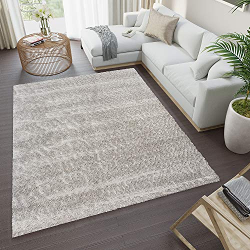 Alfombras Salon 200X300 Pelo Largo Marca TAPISO