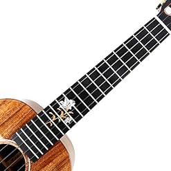 Ukulélé de concert Enya EUC-X2K KOA Veneer 23 pouces Ukulele set - Les Beatles, Paul McCartney, John Lennon, RIngo Starr, George Harrison Ukulélé de concert Enya EUC-X2K KOA Veneer 23 pouces Ukulele set – Image 3