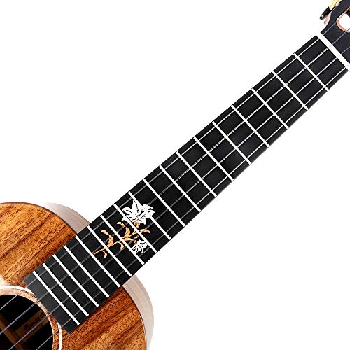 Ukulélé de concert Enya EUC-X2K KOA Veneer 23 pouces Ukulele set - Les Beatles, Paul McCartney, John Lennon, RIngo Starr, George Harrison Ukulélé de concert Enya EUC-X2K KOA Veneer 23 pouces Ukulele set – Image 4