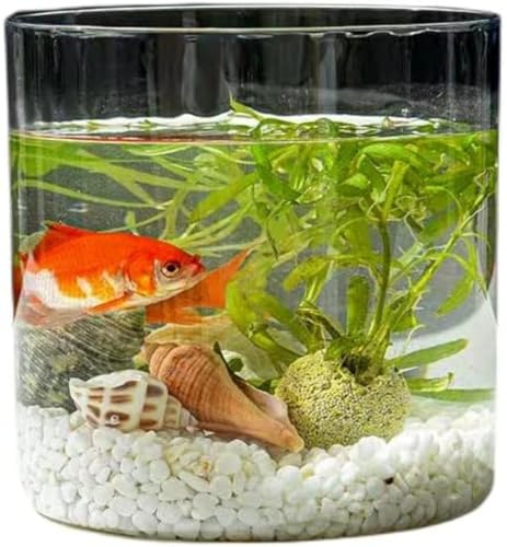 Girlmarry  琅 vX`bN eE AN ϗtA CeA e e[u ANAE {E | e  _J  CeA ԕr  t[x[X (S,A)