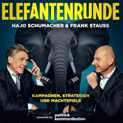 Analyse zum &Ouml;zdemir-Sieg: Gibt es eine gr&uuml;ne Zauberformel, Frank Stauss?