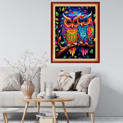 Image of Findvoor Stamped Cross Stitch Kits for Beginner Embroidery Kits for Beginners Adults DIY 11CT Cross Stitch Patterns Needlepoint Kits Crossstitching Kits-Colorful Owl 16x20 inch