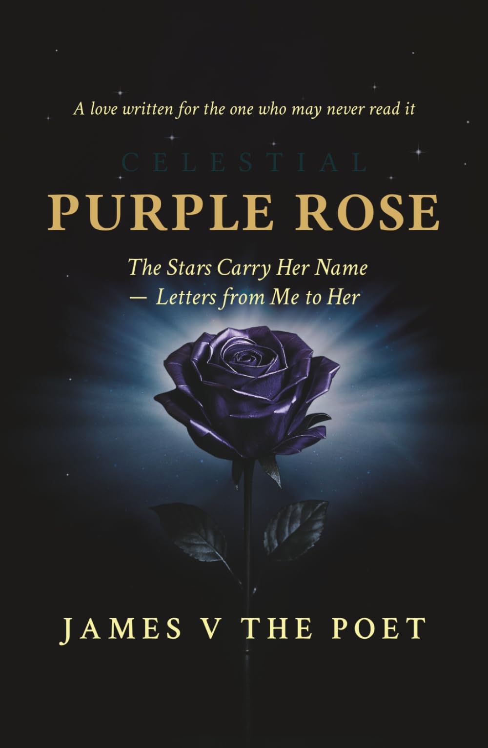 Purple Rose: The Stars Carry Her Name – Letters from Me to Her