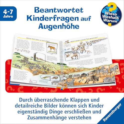 Wieso? Weshalb? Warum?, Band 37 - Alles über Tierwanderungen (Sachbuch ab 4 Jahre - mit Klappen) (Kernreihe, 37)