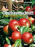  Obstbaumschnitt