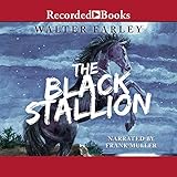 The Black Stallion