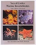 Sea of Cortez Marine Invertebrates - 2nd Edition (Revised)