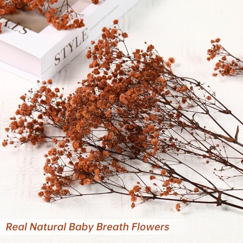 Babys Breath Dried Flowers Bouquet-17'' 1800+ Ivory Dry Flowers, Natural Gypsophila Branches for Wedding, Home Table Vase Decor, DIY Wreath Floral, Fall Thanksgiving Autumn Decoration - Image 3