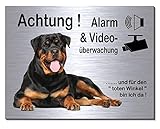 Desi-Schilder