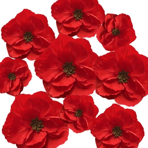 Fleurs en papier rouge : solution décorative 3D pour fond de fête
