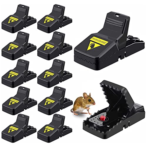 Find The Best Bait For Snap Mouse Traps Picks And Buying Guide BNB