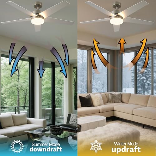 DWVO Ceiling Fans with Lights and Remote, 52 inch Silver Ceiling Fan with Reversible Quiet DC Motor, 3CCT Lighting,6 Speed, 5 Blade Fan for Bedroom Living Room