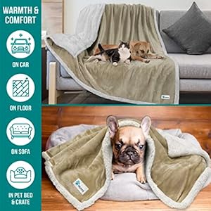 PetAmi-WATERPROOF-Dog-Blanket-For-Bed-XL-Dog-Pet-Blanket-Couch-Cover-Protection-Sherpa-Fleece-Leakproof-Bed-Blanket-Throw-for-Crate-Kennel-Sofa-Furniture-Protector-Reversible-Soft-Plush-80x60-Taupe - Cucciolini Doodles   PetAmi-WATERPROOF-Dog-Blanket-For-Bed-XL-Dog-Pet-Blanket-Couch-Cover-Protection-Sherpa-Fleece-Leakproof-Bed-Blanket-Throw-for-Crate-Kennel-Sofa-Furniture-Protector-Reversible-Soft-Plush-80x60-Taupe