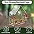 chunhai Clear Window Bird Feeder with Strong Suction Cups, Sturdy and Durable Acrylic Birdfeeders for Viewing Wild Birds Outside, Outdoor Small Bird House, Garden Decor