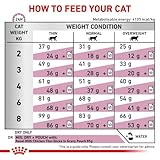 Royal Canin Veterinary Renal Select | Doppelpack | 2 x 400 g | Diät-Alleinfuttermittel für Katzen | Kann zur Unterstützung der Nierenfunktion bei Niereninsuffizienz beitragen
