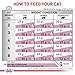 Royal Canin Veterinary Renal Select | Doppelpack | 2 x 400 g | Diät-Alleinfuttermittel für Katzen | Kann zur Unterstützung der Nierenfunktion bei Niereninsuffizienz beitragen